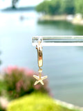 14K Gold Filled Starfish Huggie Earrings