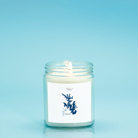 Lake Norman Map Candle (Hand Poured 9 oz.)