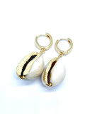 14K Gold Filled Cowrie Shell Huggie Earrings